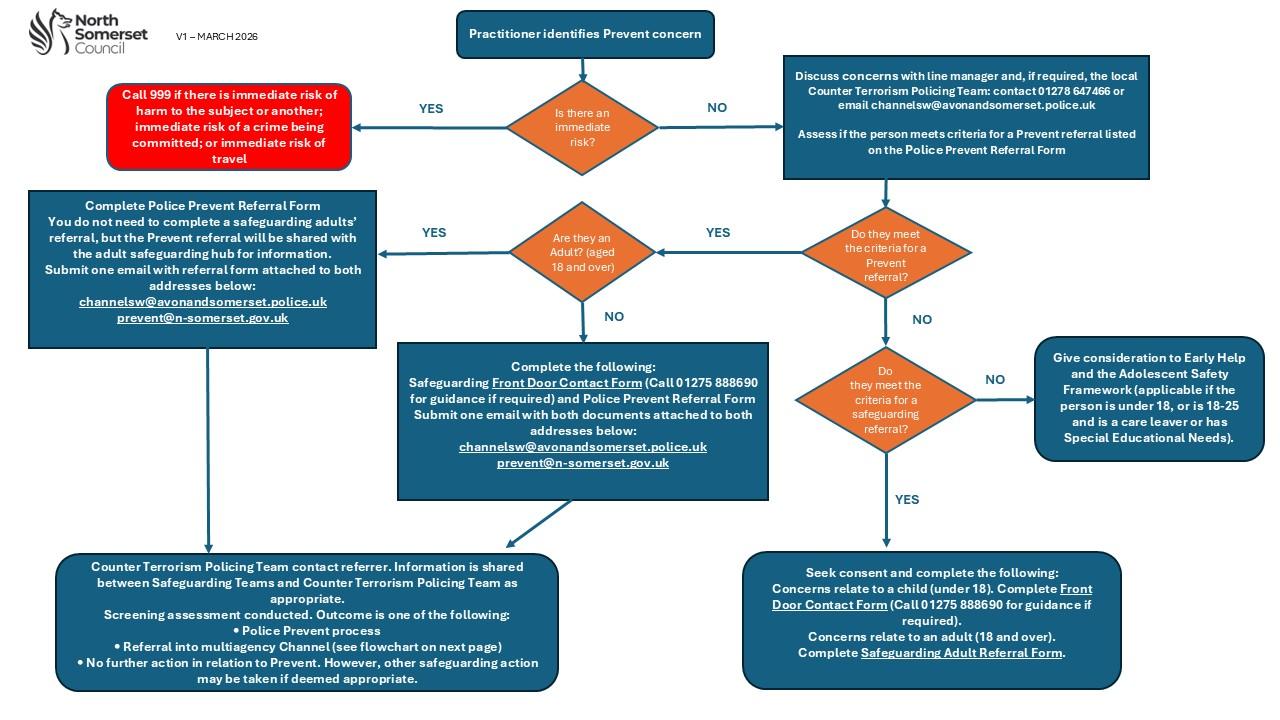 Flow chart demonstrating the process for Prevent reporting